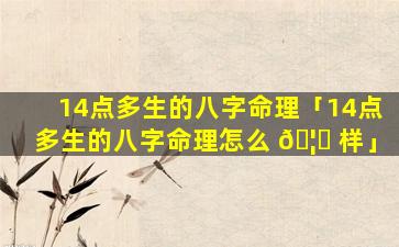 14点多生的八字命理「14点多生的八字命理怎么 🦄 样」